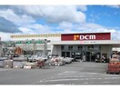 DCM(電気量販店/ホームセンター)まで500m テルース