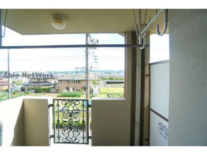 同型タイプ アイヴィ