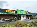 杏林堂スーパードラッグストア小笠店(ドラッグストア)まで557m ルースヤハタ