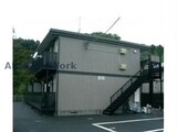 ひまわり