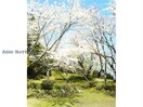 菊川公園(公園)まで1385m エクレールＡ＆Ｋ