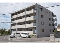 エバーグリーン