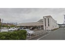 ユーコープ緑ヶ丘店(スーパー)まで353m ＴＲＩＮＩＴＹ