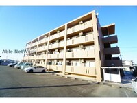 シーダーナイン