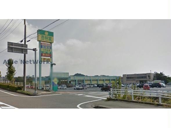 杏林堂スーパードラッグストア菊川店(ドラッグストア)まで746m フリルフスリフ