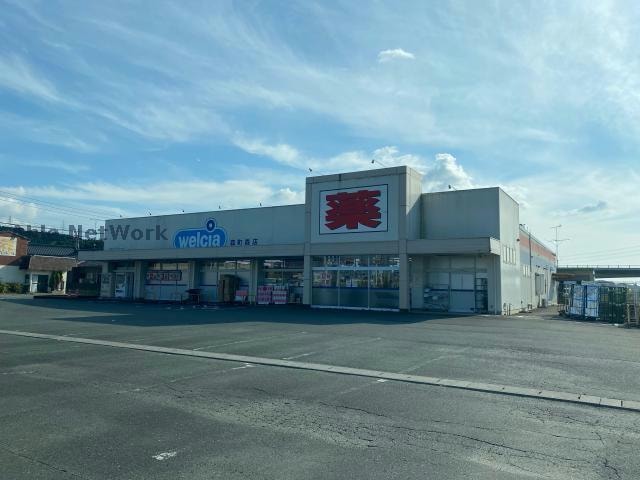 ウエルシア森町森店(ドラッグストア)まで229m 天竜浜名湖鉄道<天浜線>/森町病院前駅 徒歩8分 2階 築18年