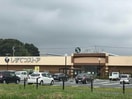 しずてつストア菊川店(スーパー)まで717m リヴェール・Ｊ・Ⅴ