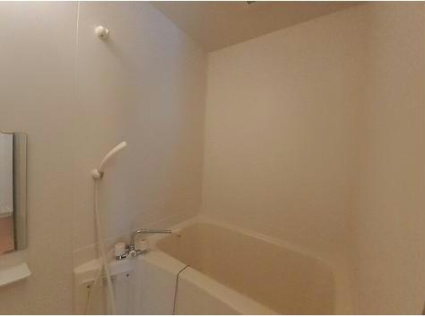  コットンフィールドＡ