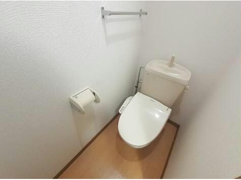  コットンフィールドＡ