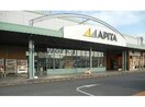 MEGAドン・キホーテUNY掛川店(ディスカウントショップ)まで848m ベル　ビレッジ 秋葉通り　Ⅰ