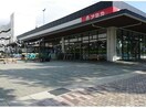 アミカ掛川店(スーパー)まで860m クルムズⅡ
