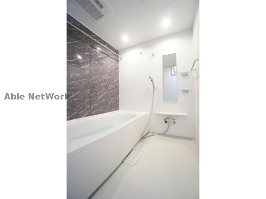 同型タイプ フェアリーシュナ