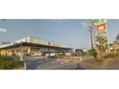 杏林堂薬局掛川花鳥園前店(ドラッグストア)まで799m エスペランサ