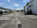  ティアラ