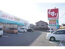 スギ薬局竹島店(ドラッグストア)まで1502m シティハイツ天伯Ⅱ