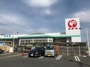 コメリハード＆グリーン蒲郡形原店(電気量販店/ホームセンター)まで1380m カーサ　フェリーチェ