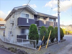 ヴィオラ　フィオーレ