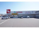 スギ薬局蒲郡北店(ドラッグストア)まで867m ハイカムールなつめ　Ｂ