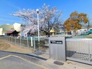 蒲郡市立みどり保育園(幼稚園/保育園)まで370m ホワイト　ヒル　B