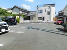  セラー養神