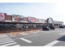 ドミー三谷店(スーパー)まで876m セラー養神