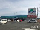 ドラッグスギヤマ形原店(ドラッグストア)まで811m オレンジ・ガーデン