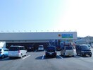 ゲンキー平田長根店(ドラッグストア)まで670m カーサ　コンフォルト