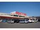 ピアゴ幸田店(スーパー)まで604m ベルパーク丸山Ｇ棟