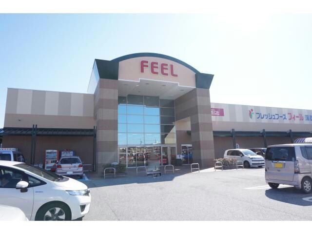 フィール蒲郡店(スーパー)まで127m サンメゾンＡ