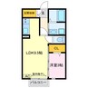 竹谷ヒルズ 1LDKの間取り