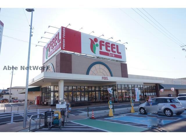 フィール幸田店(スーパー)まで481m エレガンス岩堀