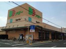 ドミー蔵子店(スーパー)まで549m ウィルモア蔵子C棟