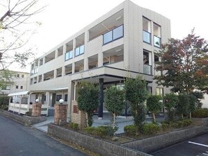 グリーン.アヴェニュー