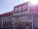 やまや新桜町店(ディスカウントショップ)まで2736m ノール椿