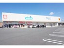 ウエルシア蒲郡竹谷町店(ドラッグストア)まで745m リメインⅡ