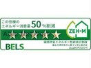  パープルストーンズ