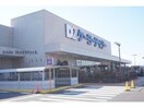 ケーヨーデイツー幸田店(電気量販店/ホームセンター)まで288m エスペランサ　B棟