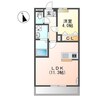 ウィステリアカイア 1LDKの間取り