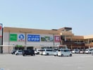 Sugakiya蒲郡クラスポ店(その他飲食（ファミレスなど）)まで379m ひまわり