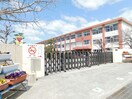 幸田町立中央小学校(小学校)まで434m メゾン・ド・プルメリア　Ｂ