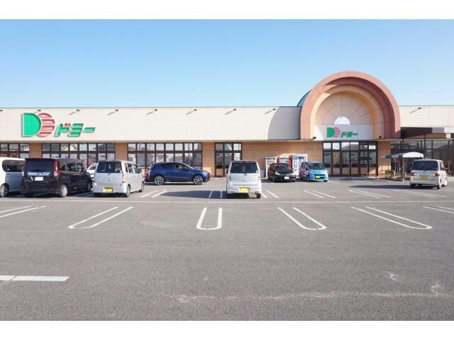 ドミー幸田店(スーパー)まで713m ルミエール南
