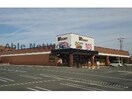 ドミー丁田店(スーパー)まで680m ニチユー産業３号棟