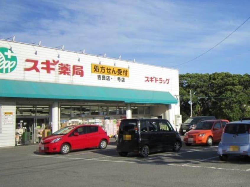 スギ薬局吉良店(ドラッグストア)まで1055m アメニティハイム・Ｋ