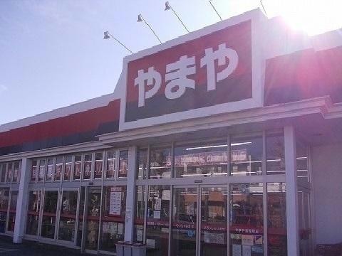 やまや新桜町店(ディスカウントショップ)まで519m REVE　B