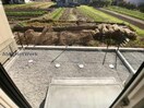  銀杏