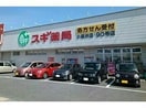 スギ薬局小坂井店(ドラッグストア)まで1172m グリーンリーフ