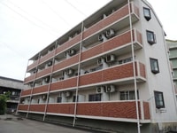 マルベリー・ハイアットⅢ