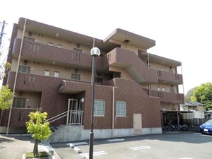 フォレストインシラーズ