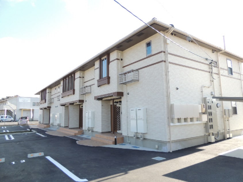  チェリーブロッサム