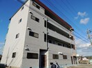 パインハイツ青山の外観
